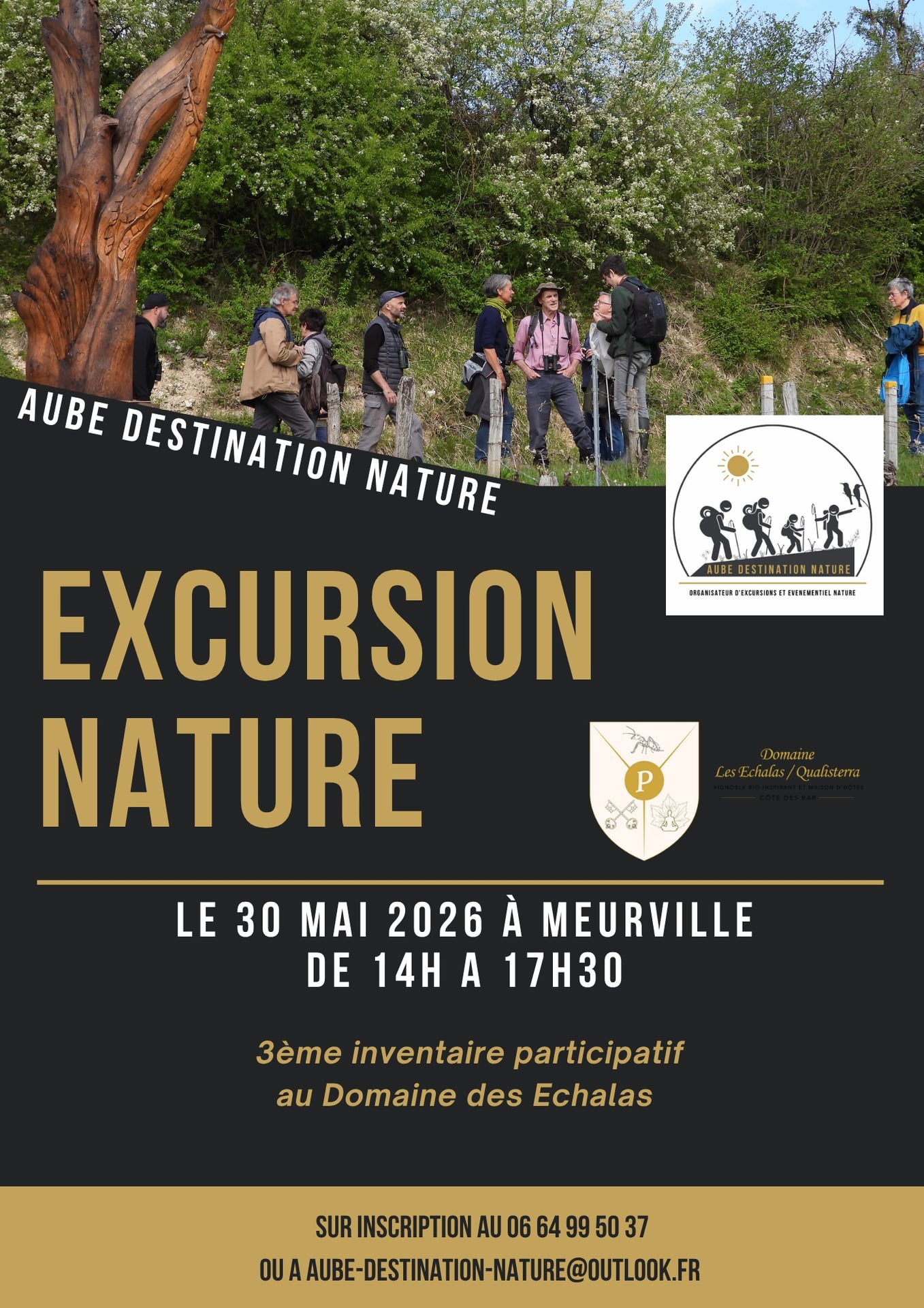 Excursion nature