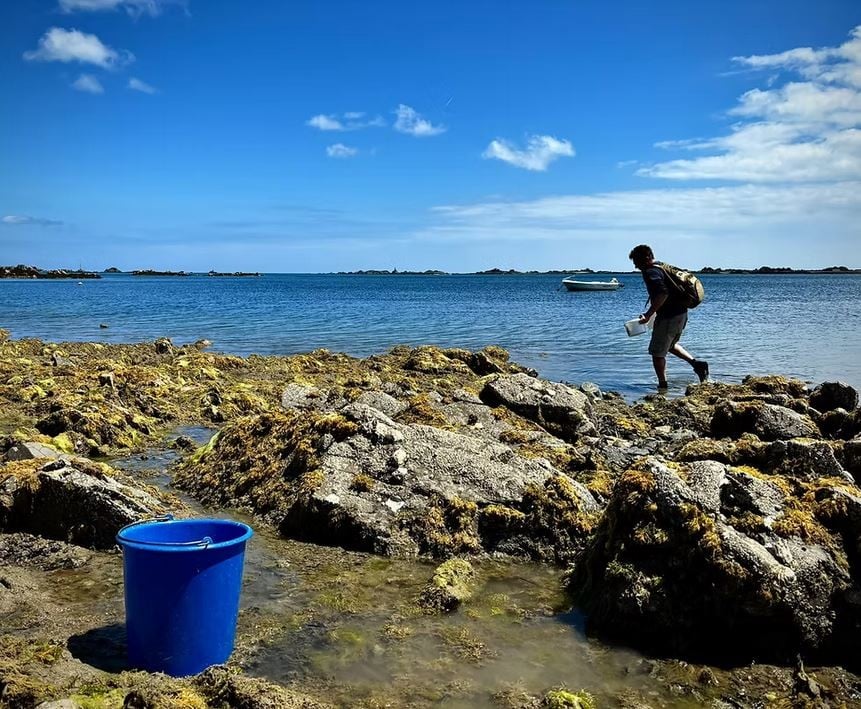 Découverte de l’estran avec Horizons22