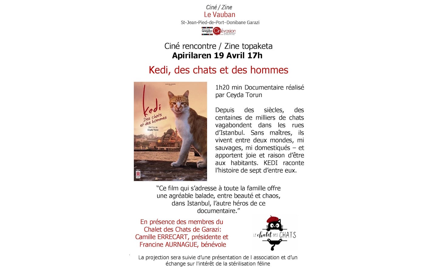 Ciné rencontre / Zine topaketa : Kedi, des chats et des hommes