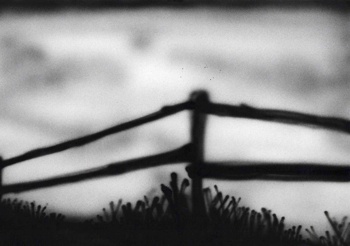 Exposition "À L'Horizon" de Némo Richard-Roussel