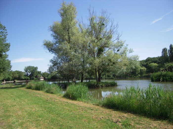 Randonnée dans les communes à Pleumartin