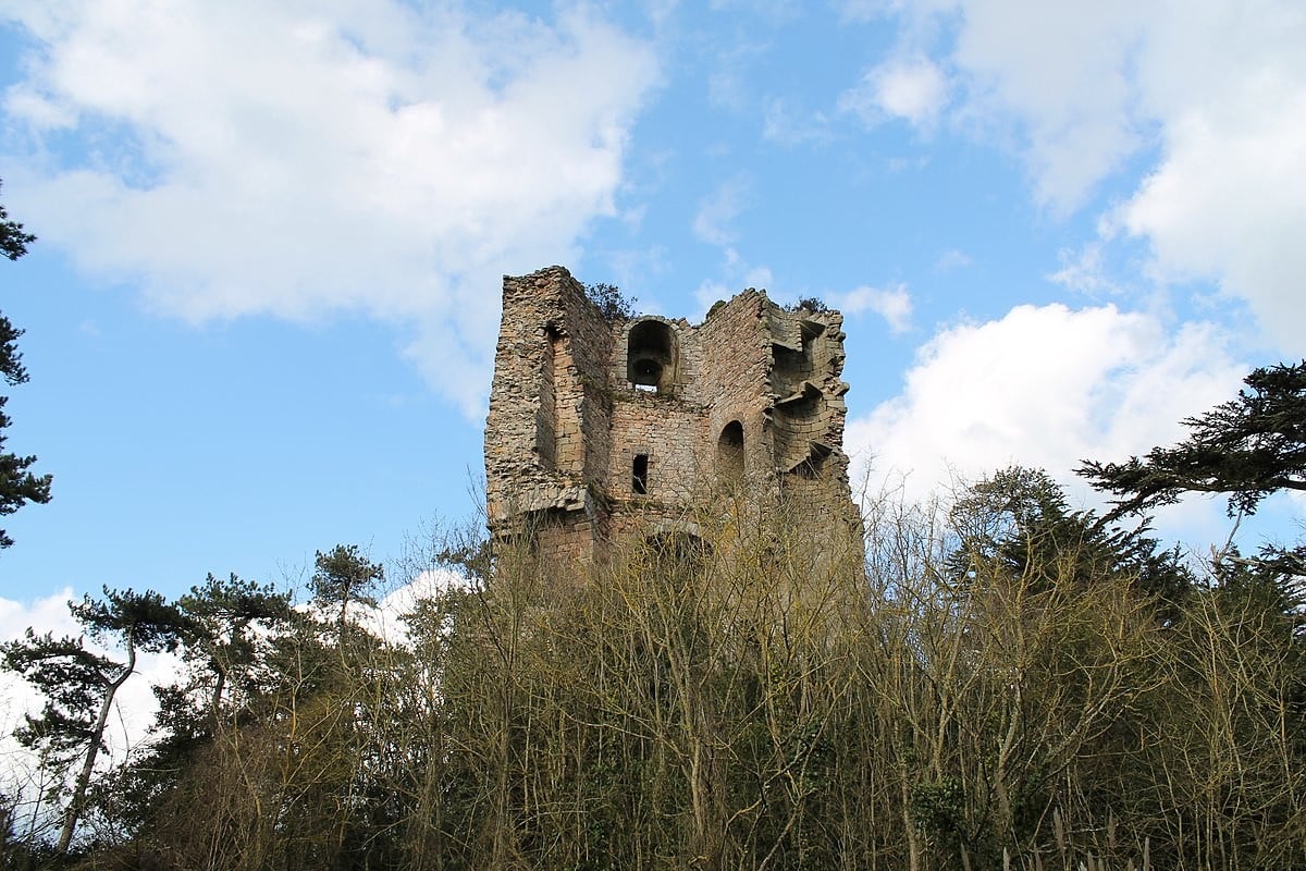 Visite Guidée – Domaine de la Tour de Cesson