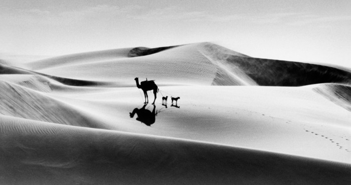 Rendez-vous photo : Raymond Depardon, la solitude heureuse du voyageur