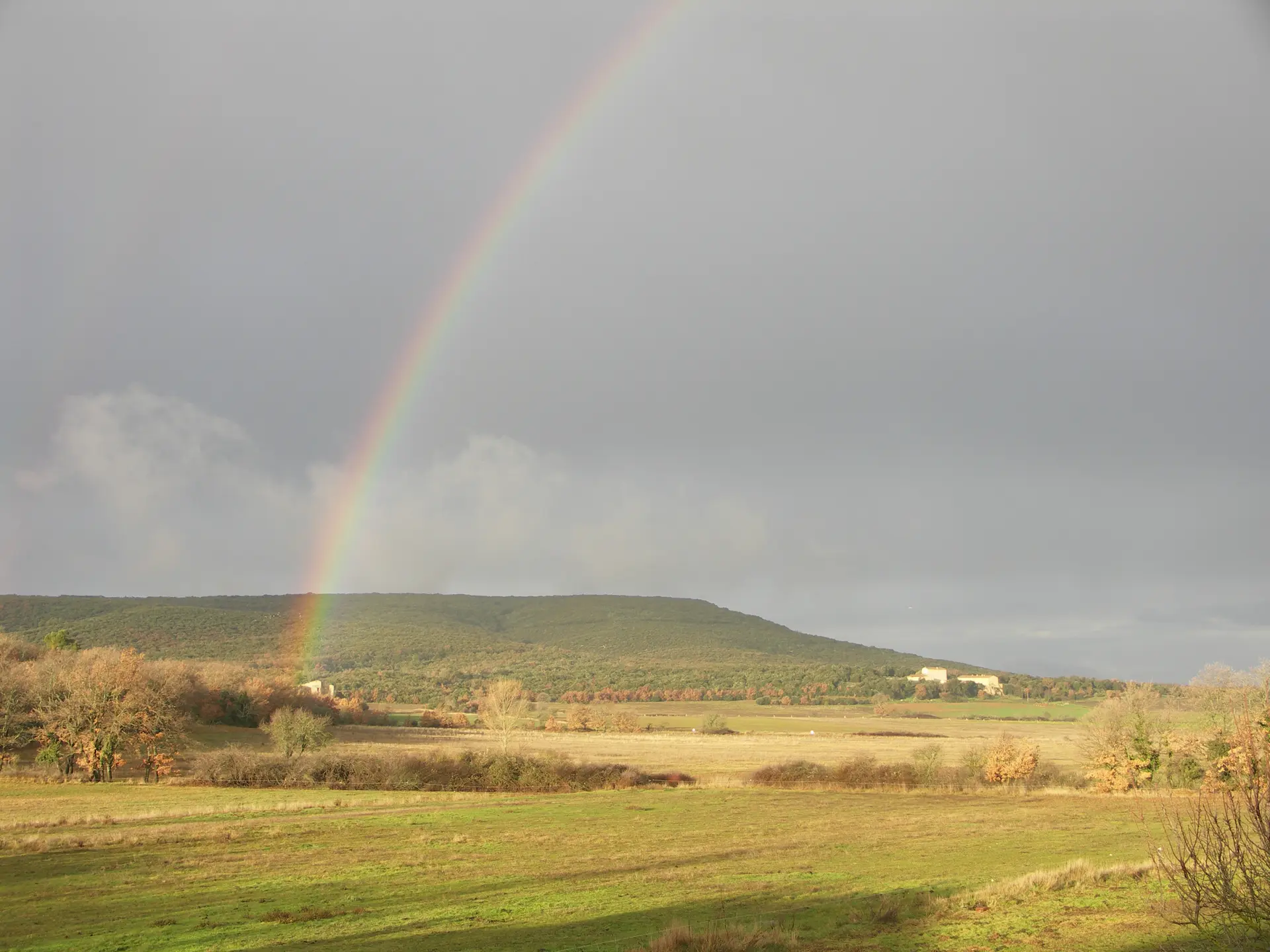L’entomofaune de la Verdière