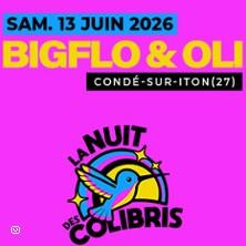 La Nuit Des Colibris - Concert Bigflo et Oli