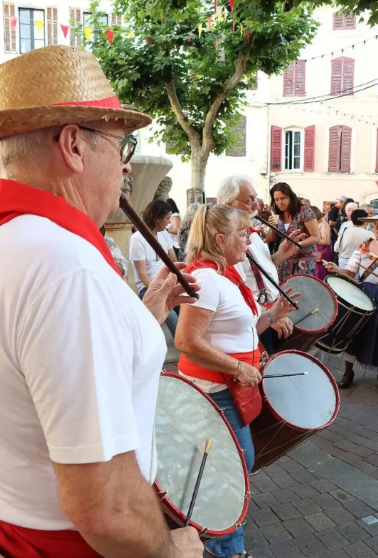 Grande Cavalcade de la Saint Jean