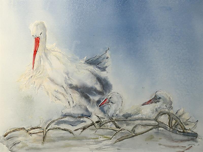 Exposition - Aqua & Oracles