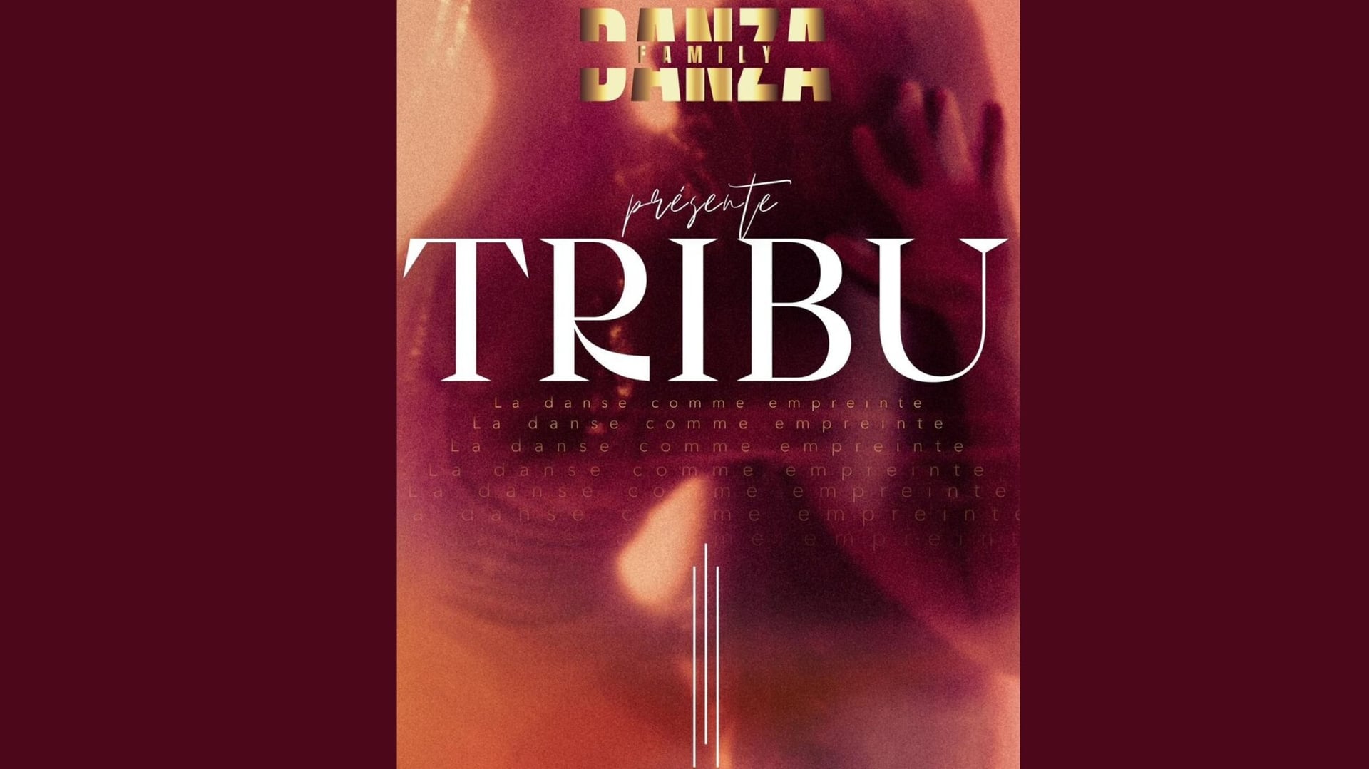 Spectacle de danse – Danza “Tribu”