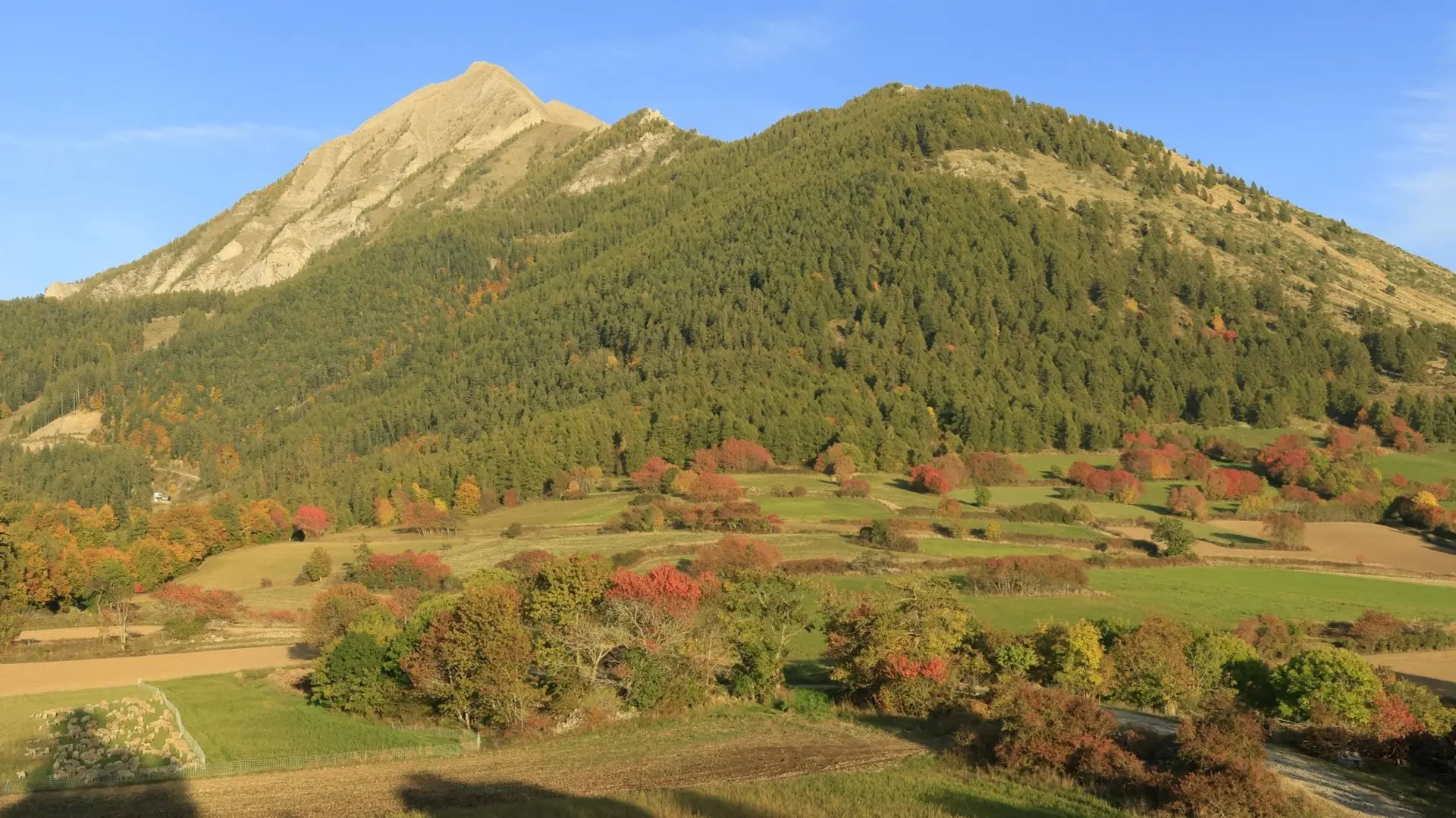 La biodiversité selon l'altitude