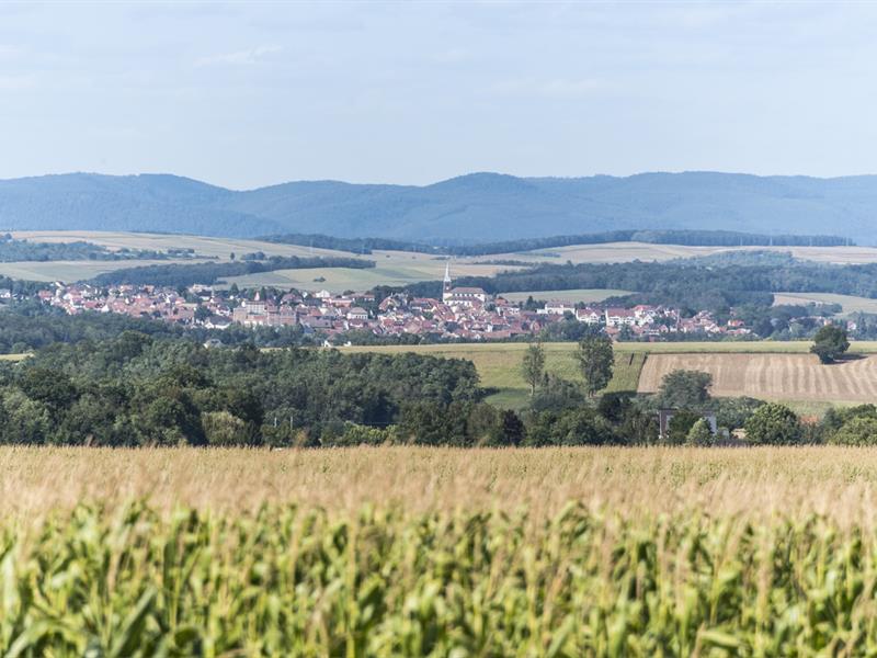 Balade à l'éveil de la nature