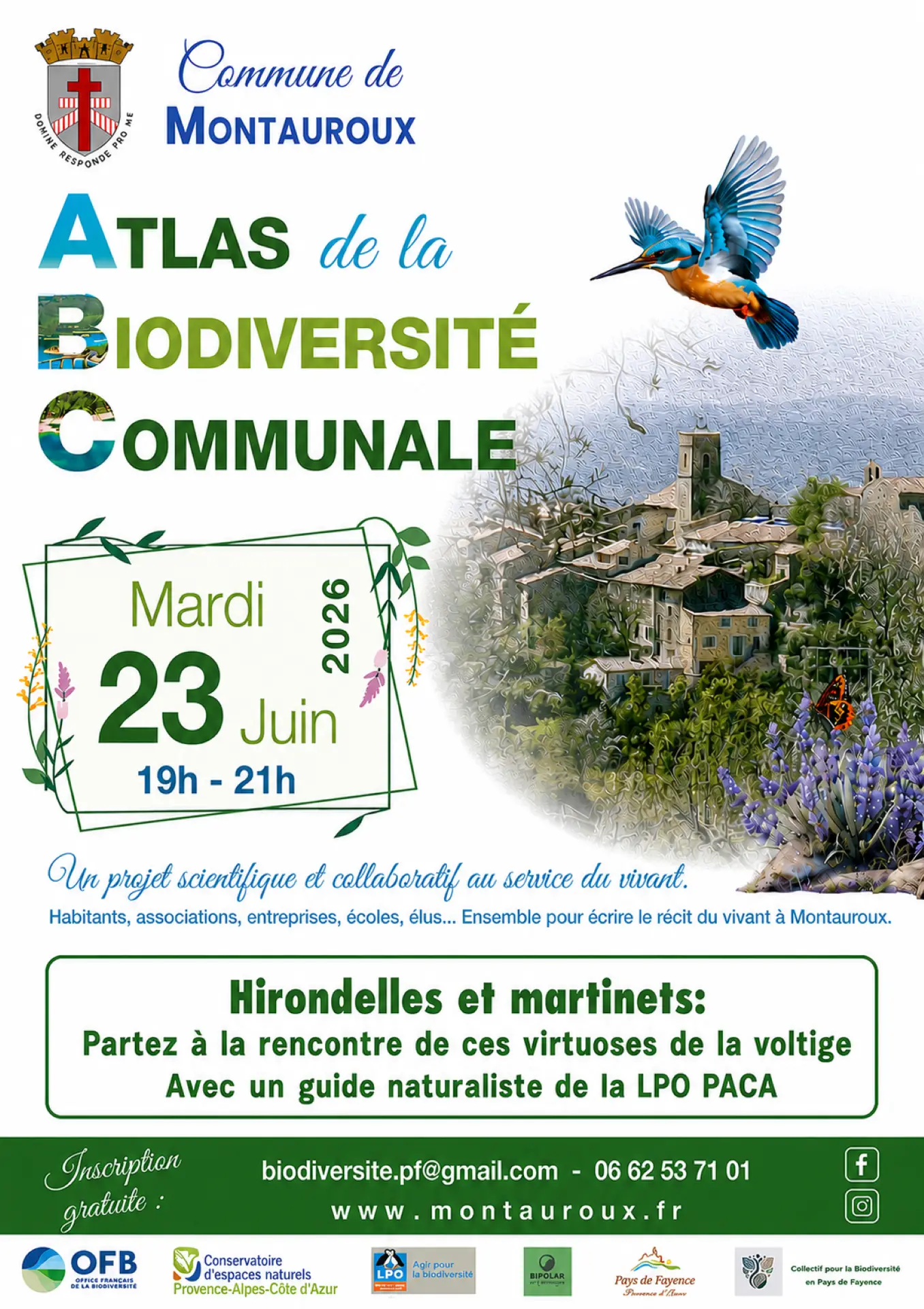 Rencontre avec un guide naturaliste LPO PACA - Hirondelles et martinets