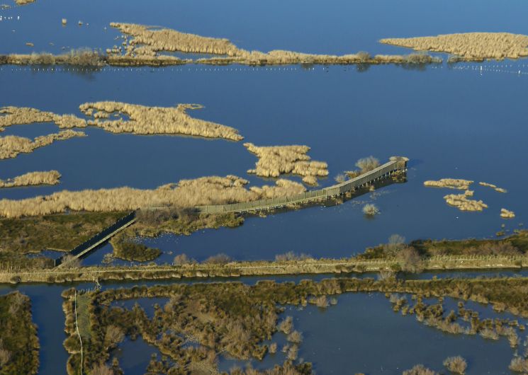 Journée nature : Entre étangs, vignes et pinèdes