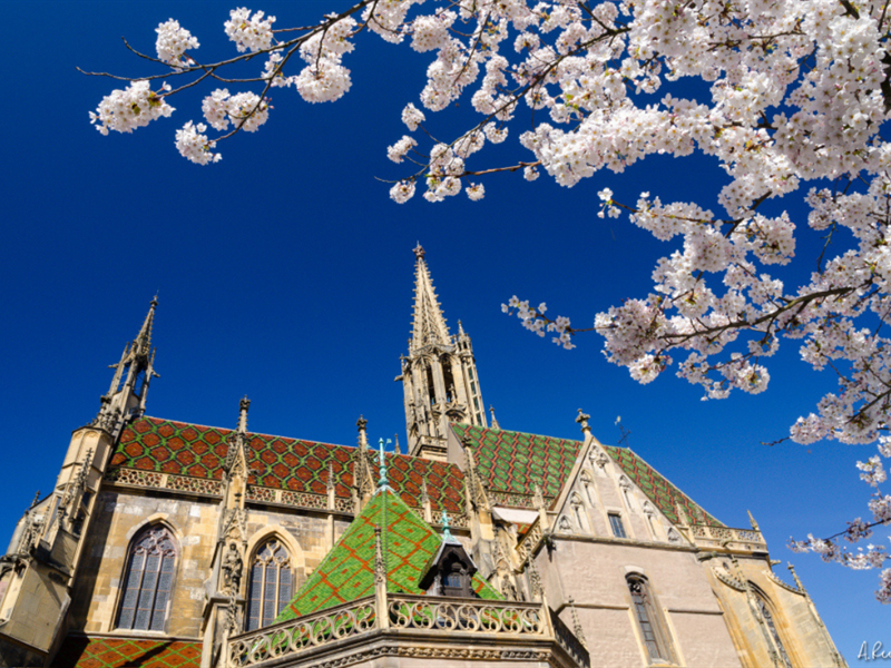 Concert : Feu sacré