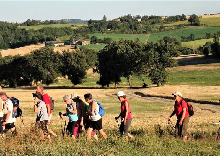 Estivales pédestres : randonnée accompagnée