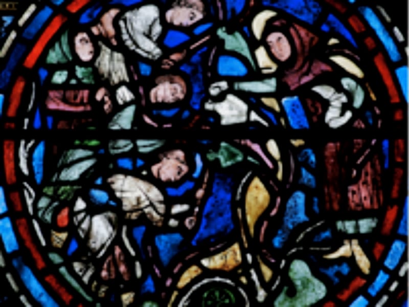 Visite guidée : cathédrale de Chartres, de la vigne et du vin