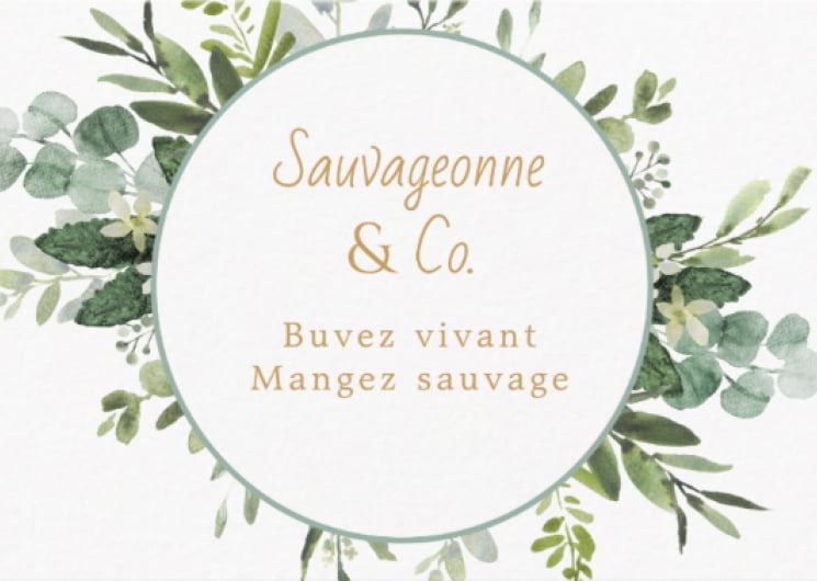 Sortie nature : plantes comestibles du petit Bagnas et buffet sauvage