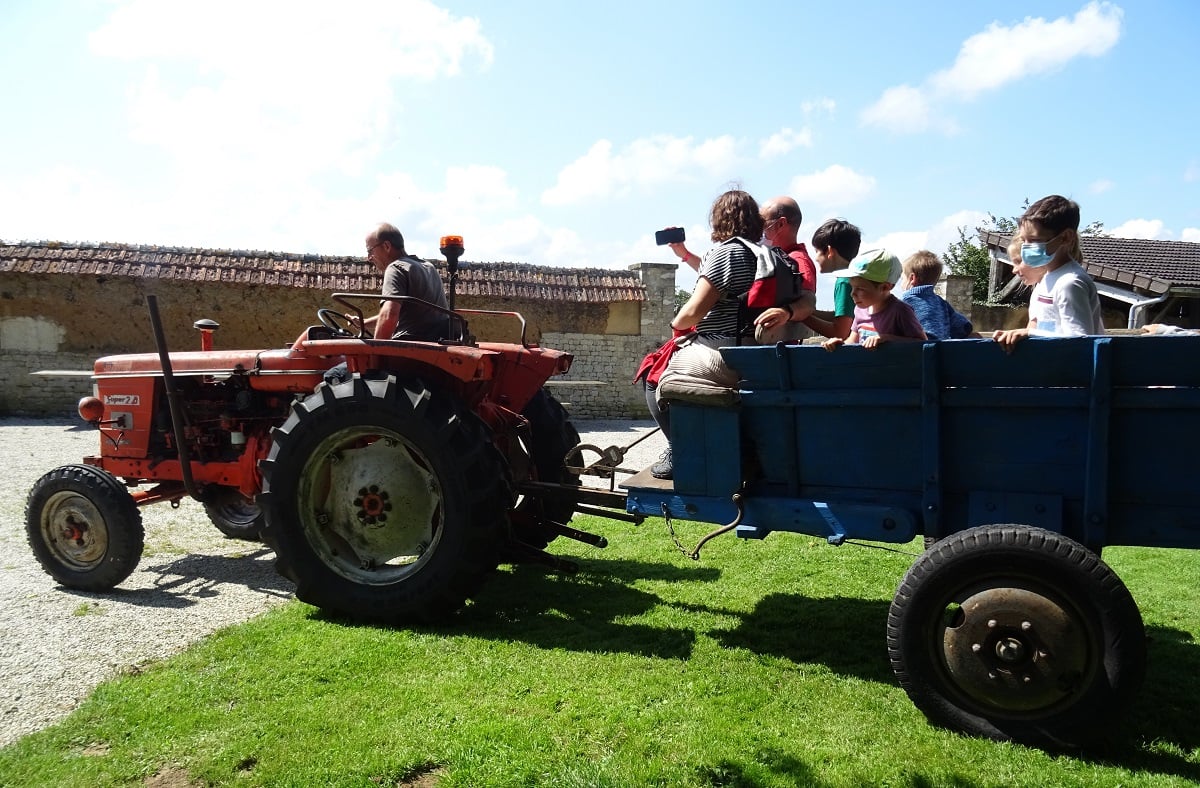 Balade en tracteur vintage - Ferme-musée du Cotentin