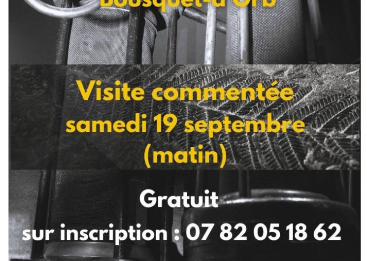 VISITE COMMENTÉE DU MUSÉE LES LUMIÈRES DE LA MINE