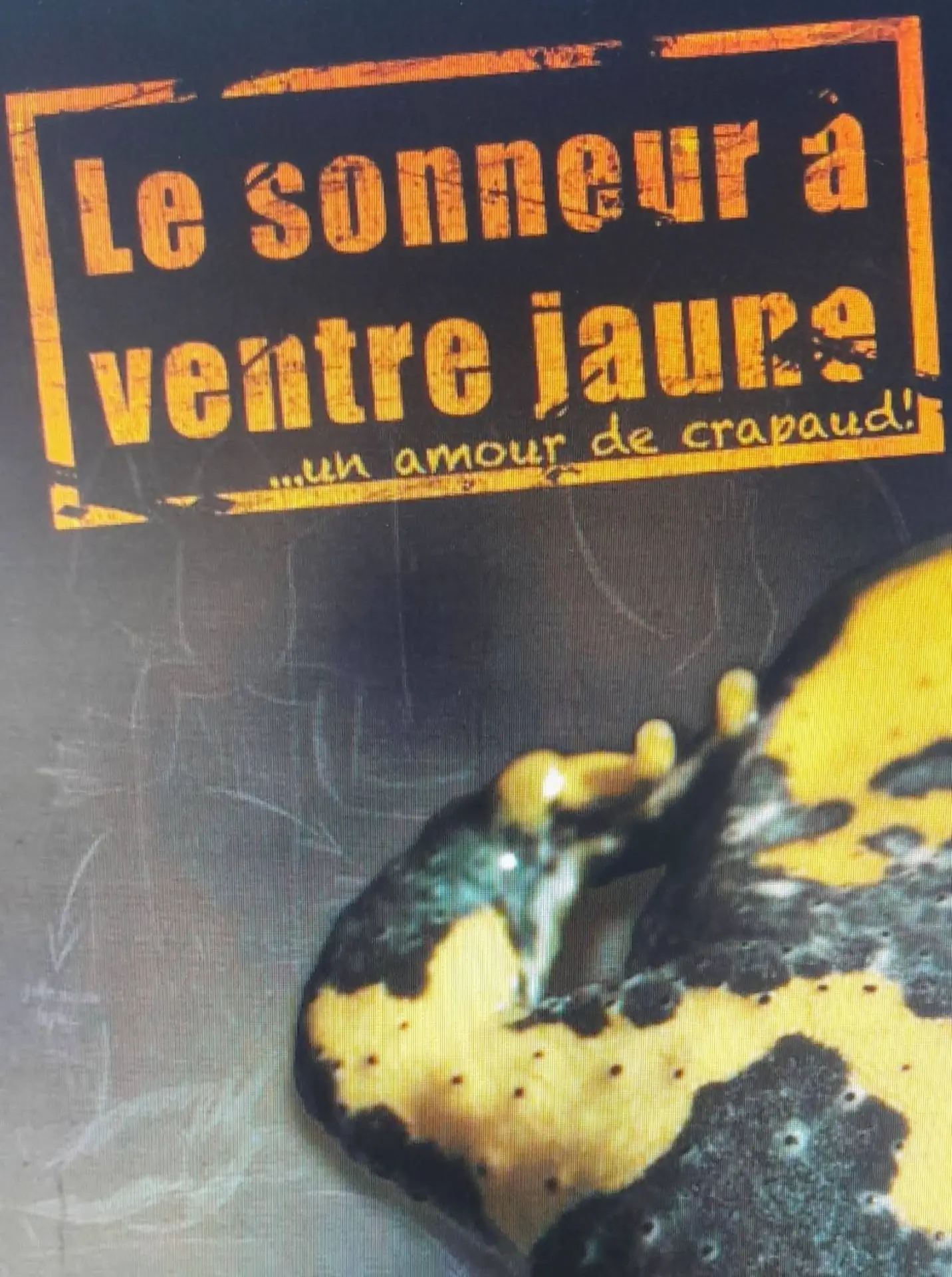 Exposition : Le sonneur à ventre jaune... Un amour de crapaud !