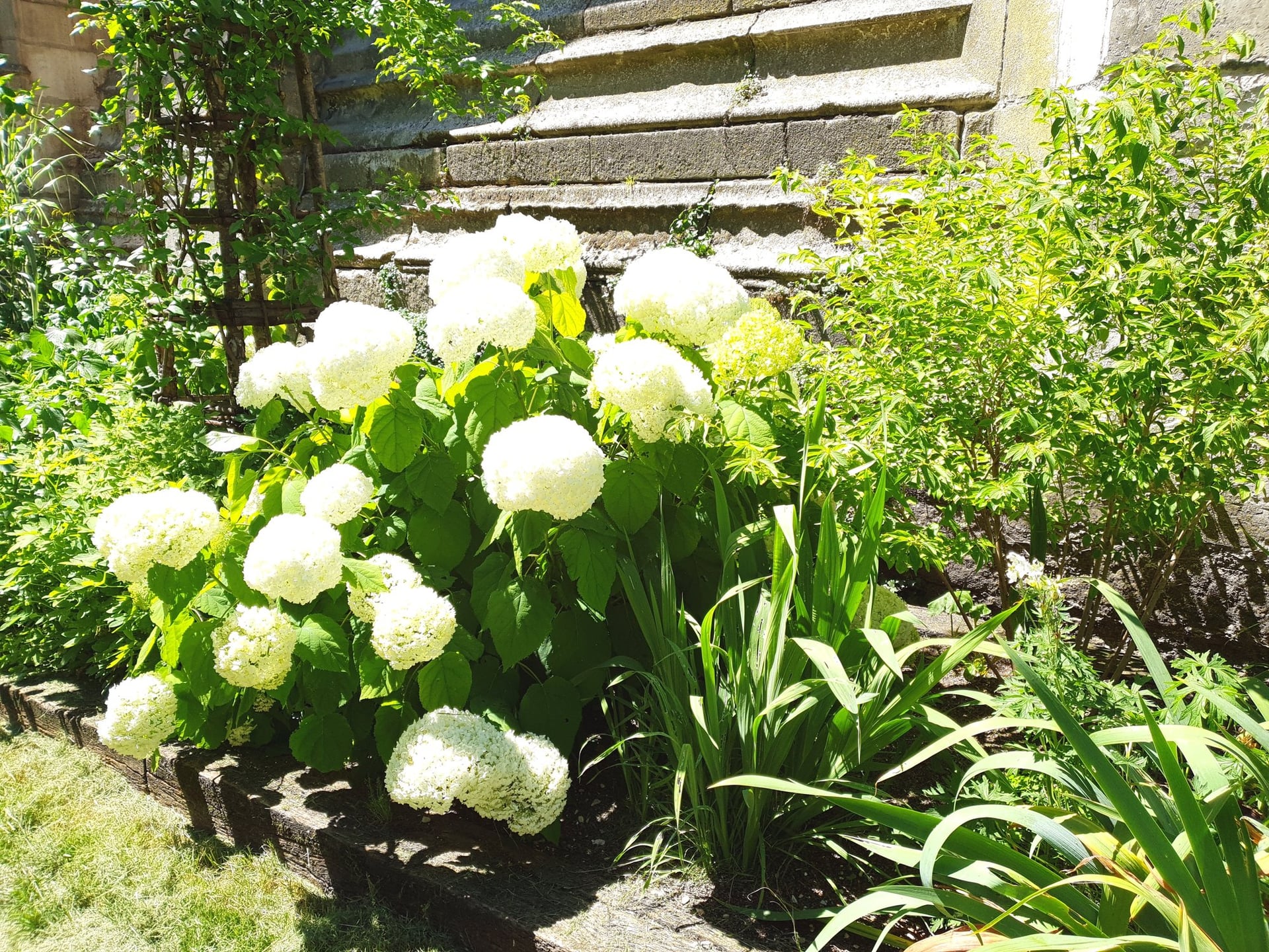 Visite guidée « Les jardins médiévaux »