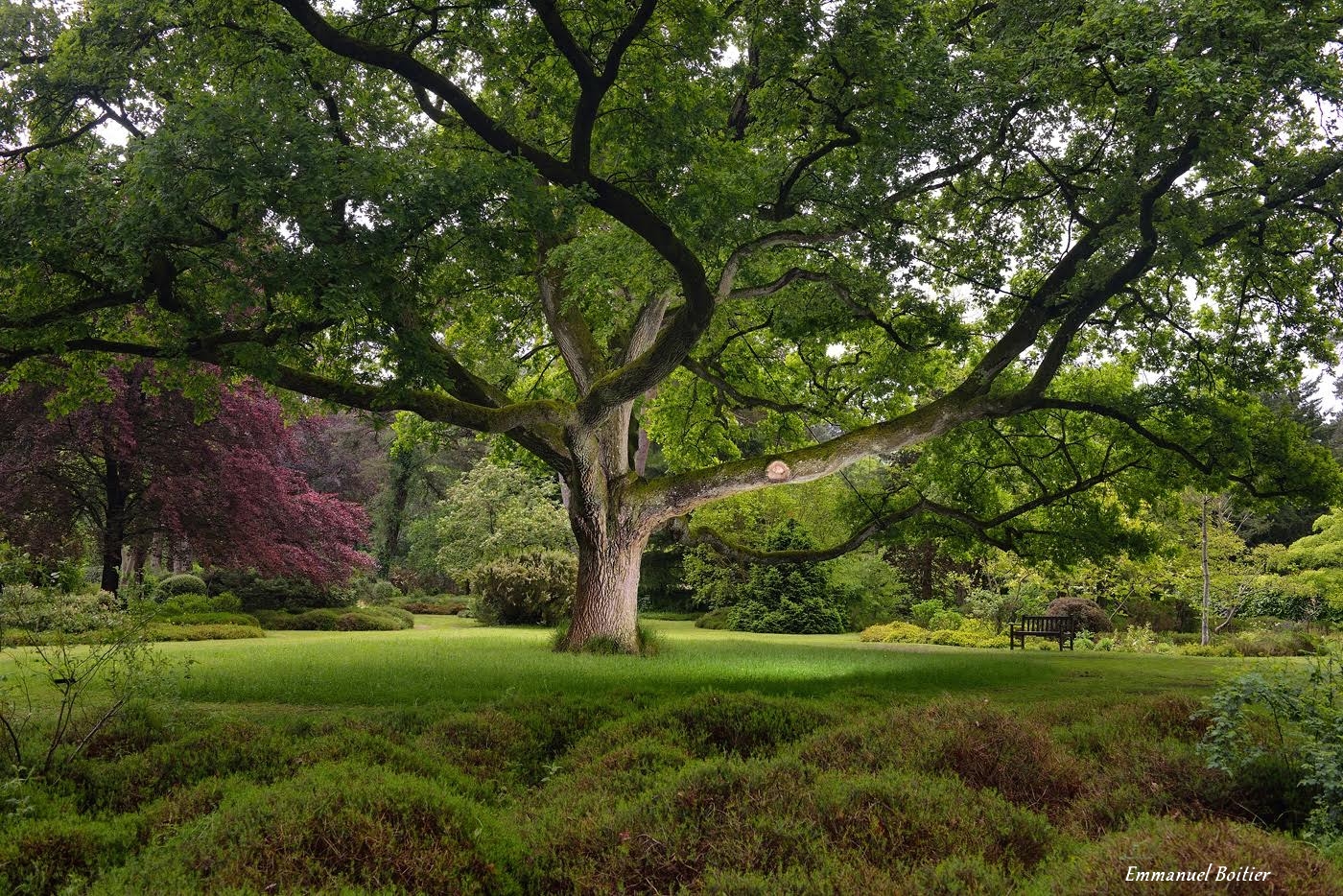 Journées européennes du patrimoine à l'Arboretum