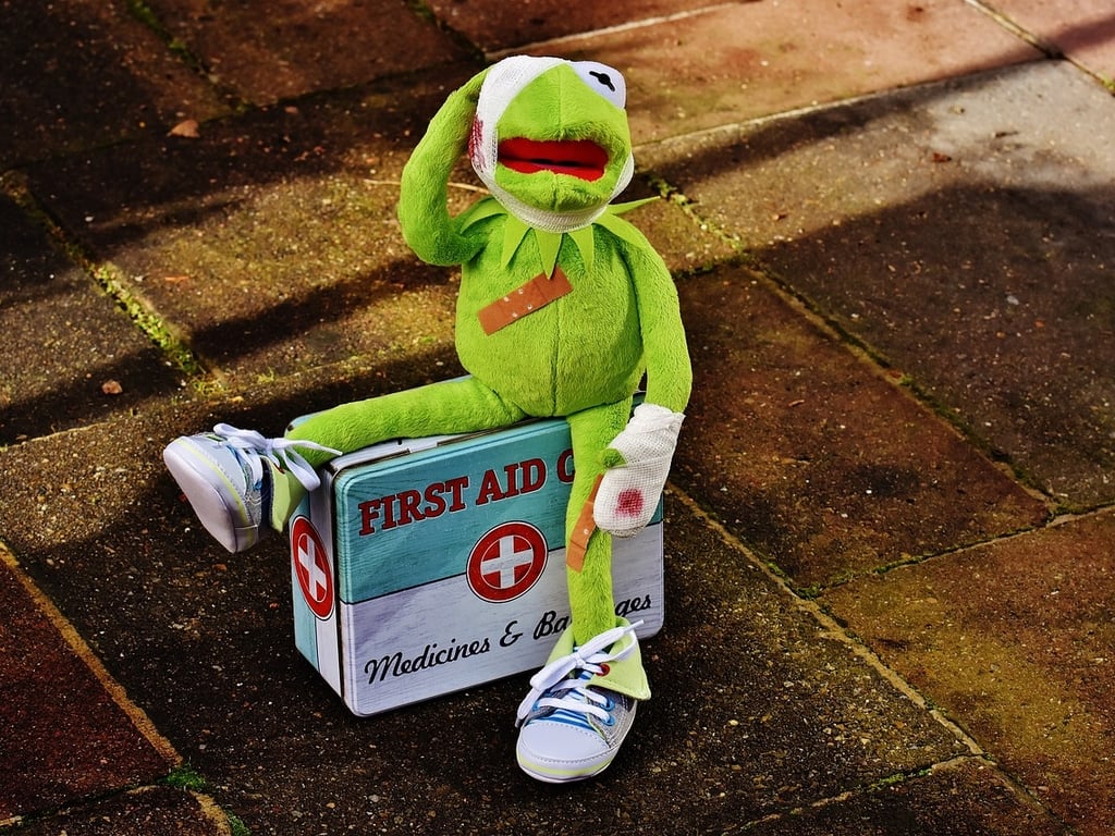 Mercredis nature : SOS animal sauvage en Détresse !