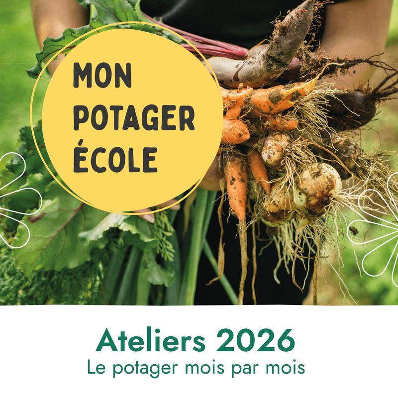 Atelier au potager-école : Que faire au potager au printemps ?