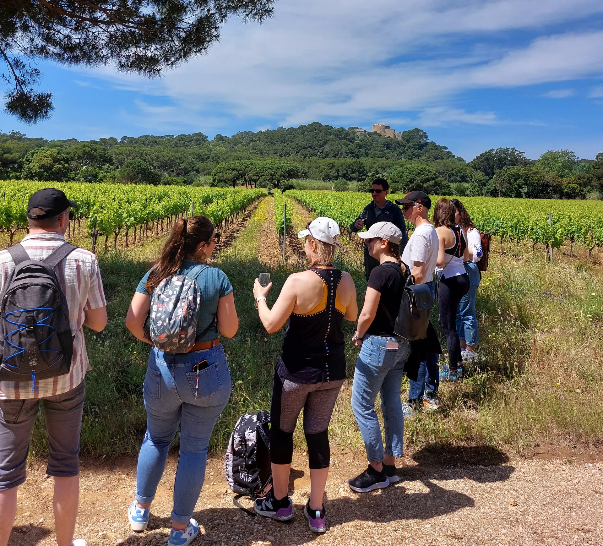 Balade oeno-sensorielle au domaine de la Courtade