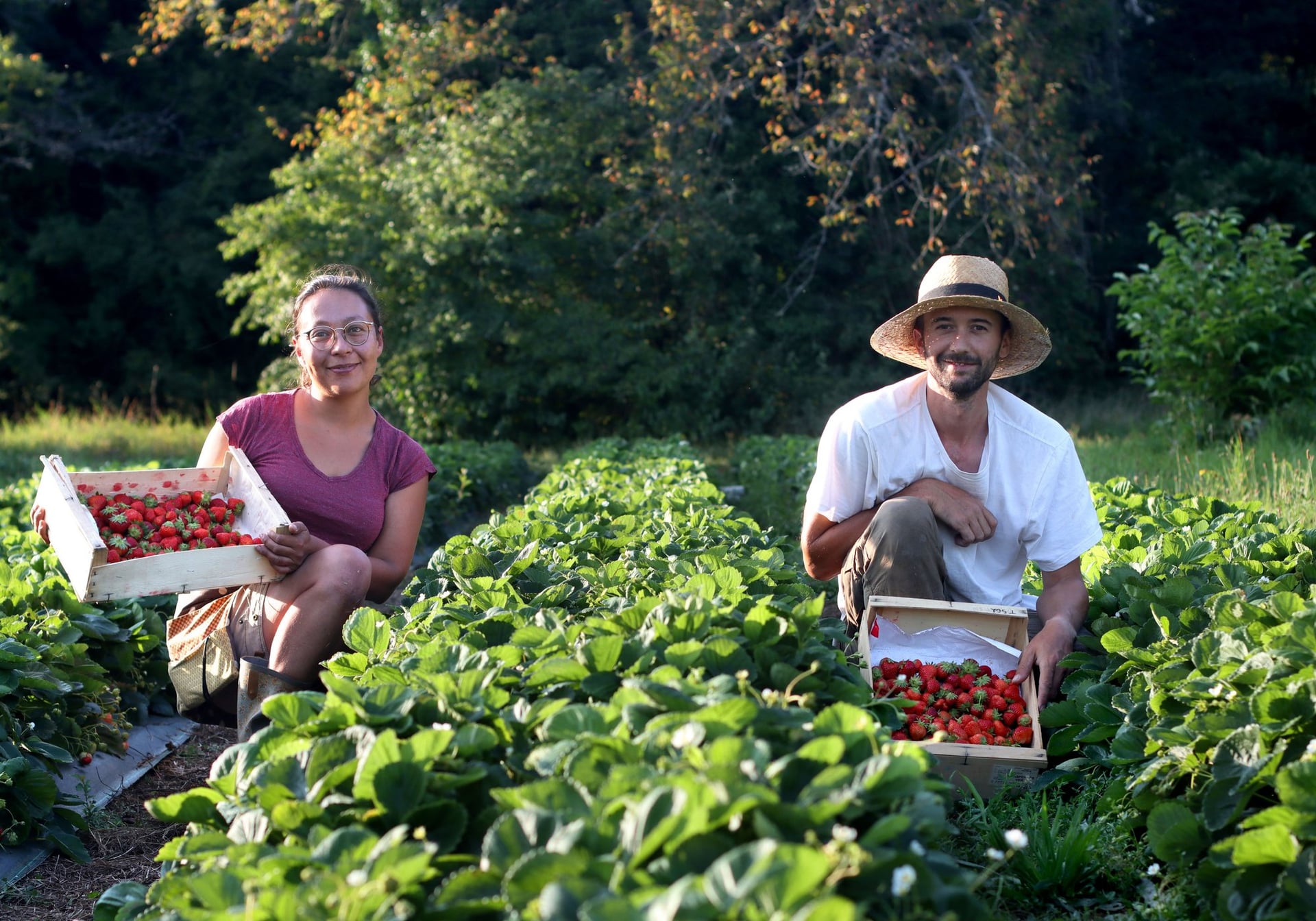 Visite d'une exploitation de fruits bio - Le Champ des Gourmands