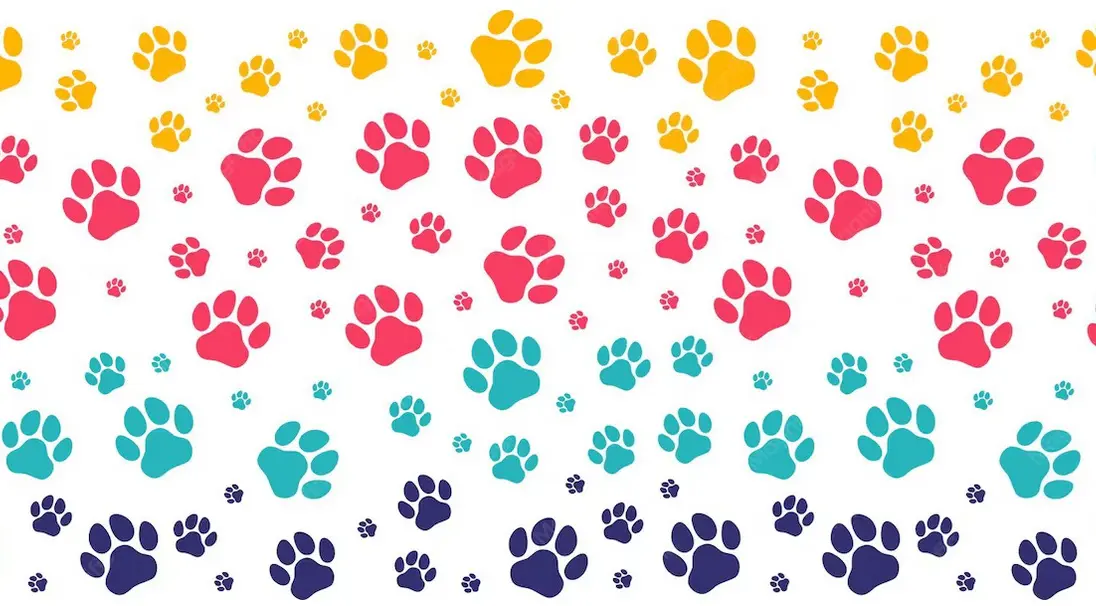 Part'âge nature : sortie - traces et empreintes d'animaux
