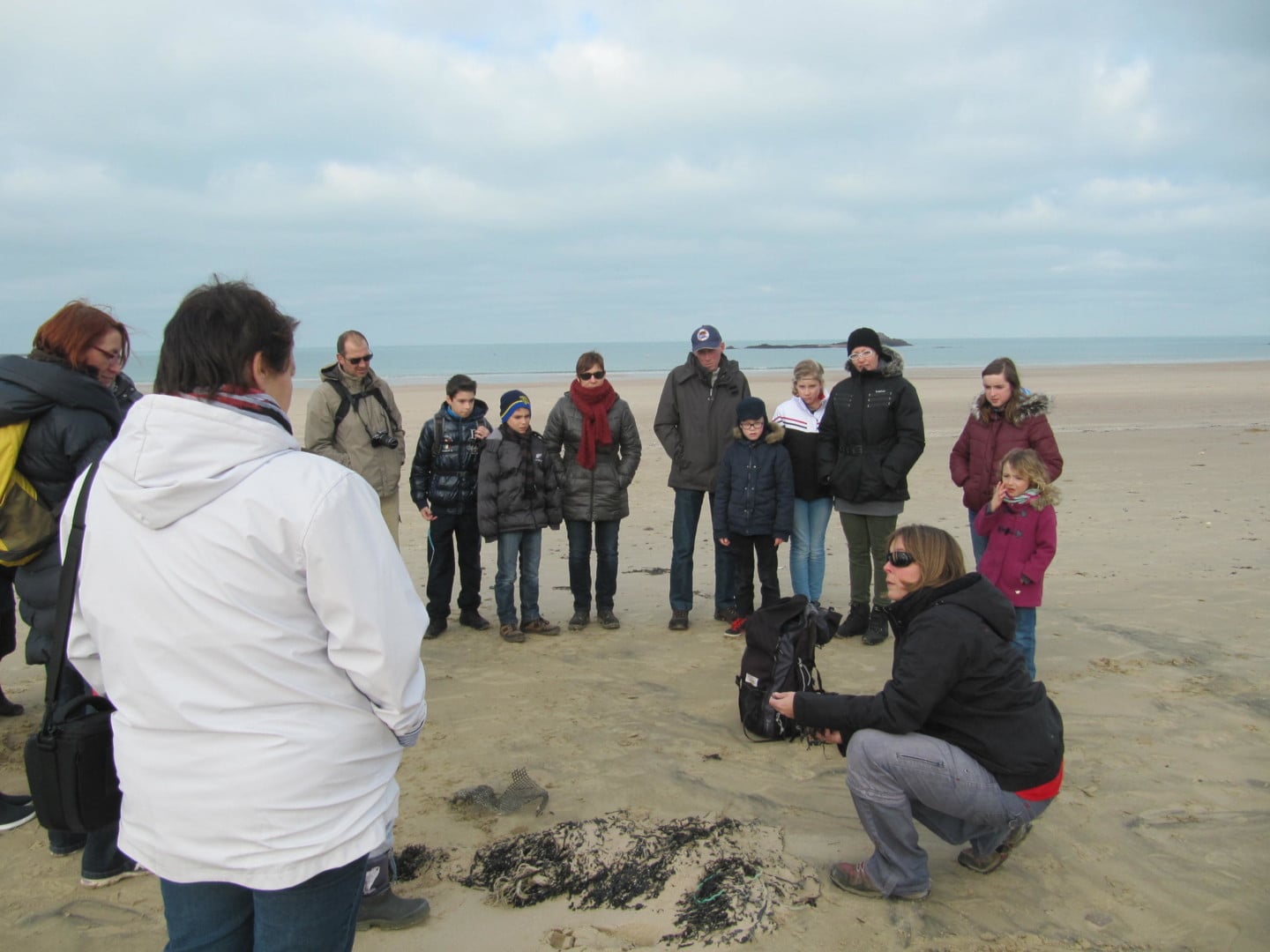 Dune et laisse de mer