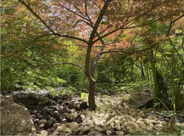 Visite des lilliputiens, une question de point de vue - Rendez-vous aux jardins