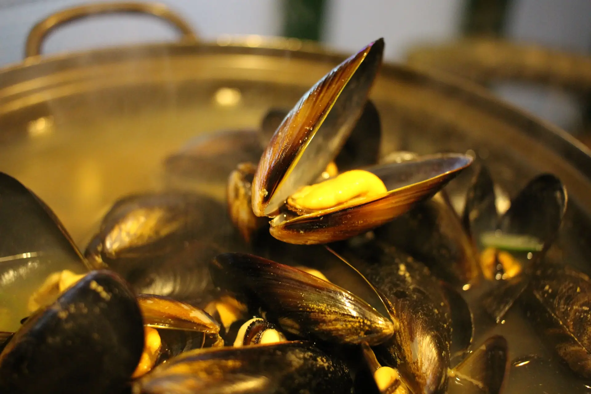 Repas Moules/Frites