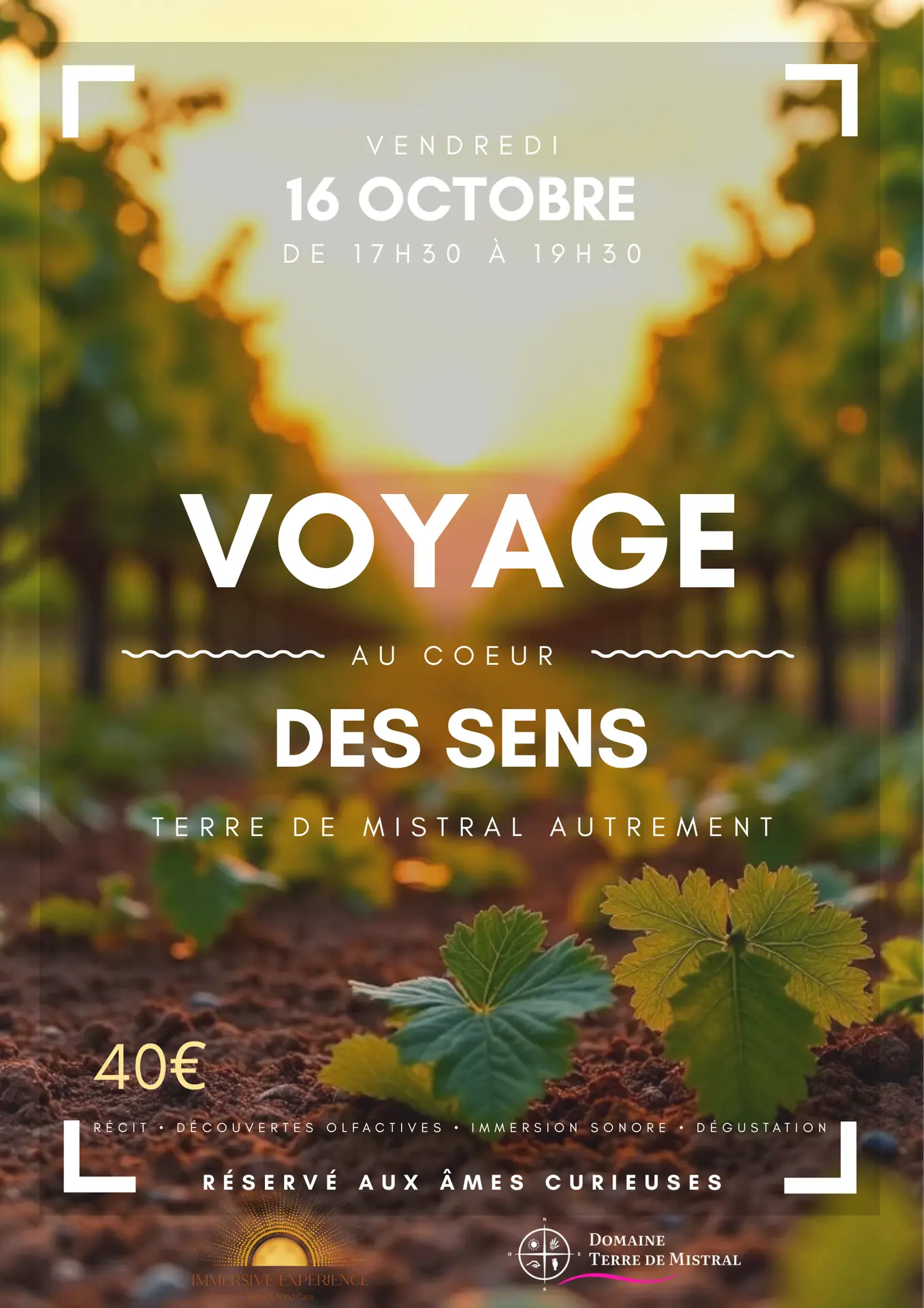 Voyage au coeur des sens : Terre de Mistral autrement