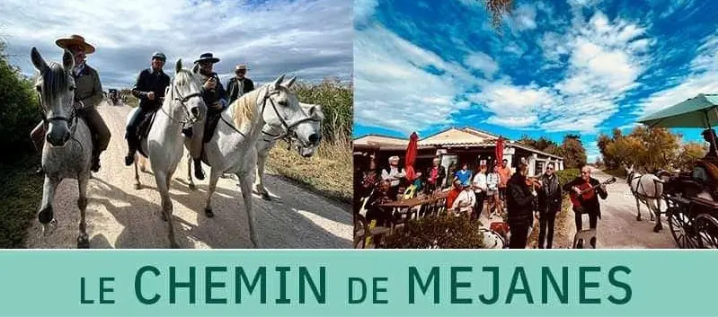 Le chemin de Méjanes le long du Vaccarès