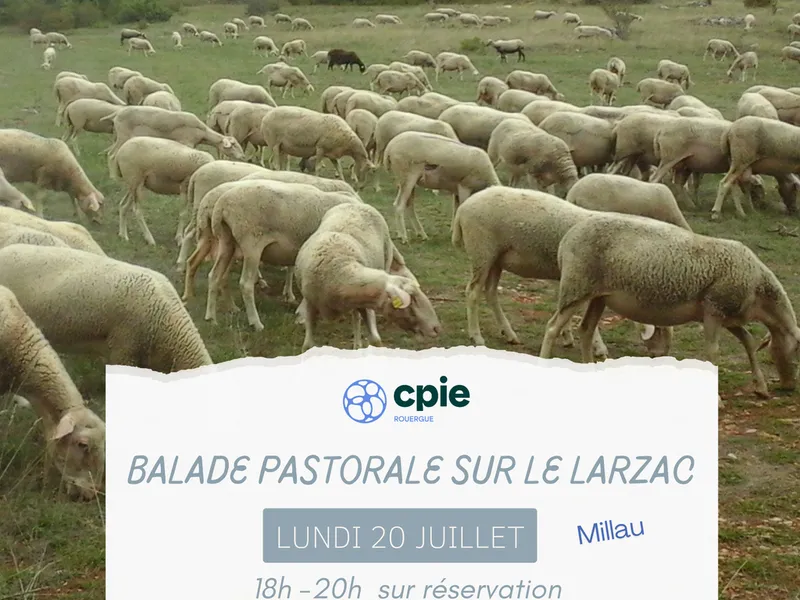 Nouveauté 2026 – » Balade pastorale sur le Larzac » avec le CPIE
