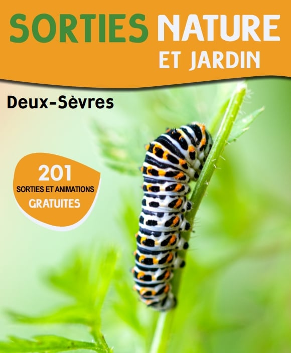 Sortie nature - Bocage dans la nuit