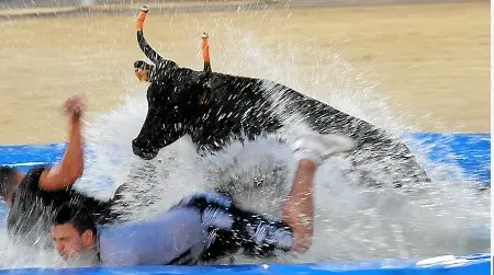 Toro Piscine