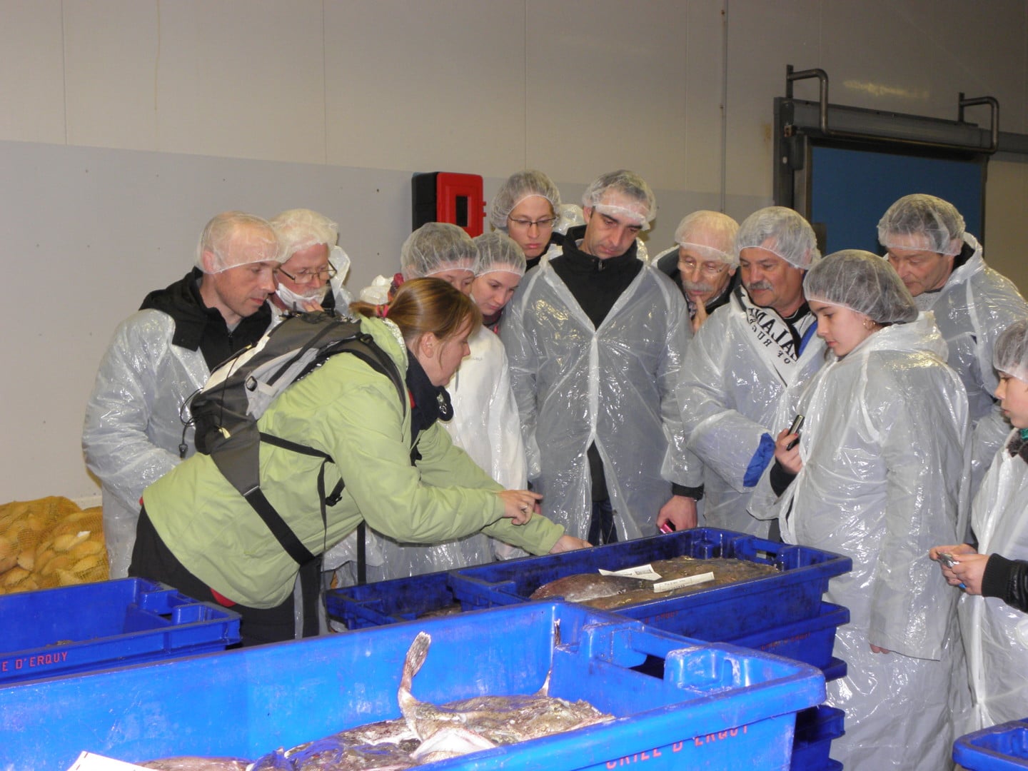 Criée, port et mareyage