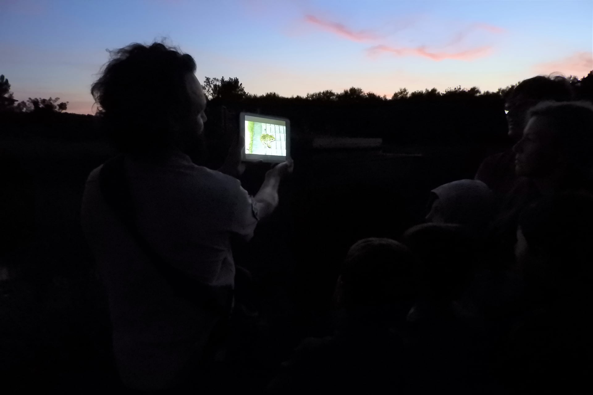 Balade nocturne