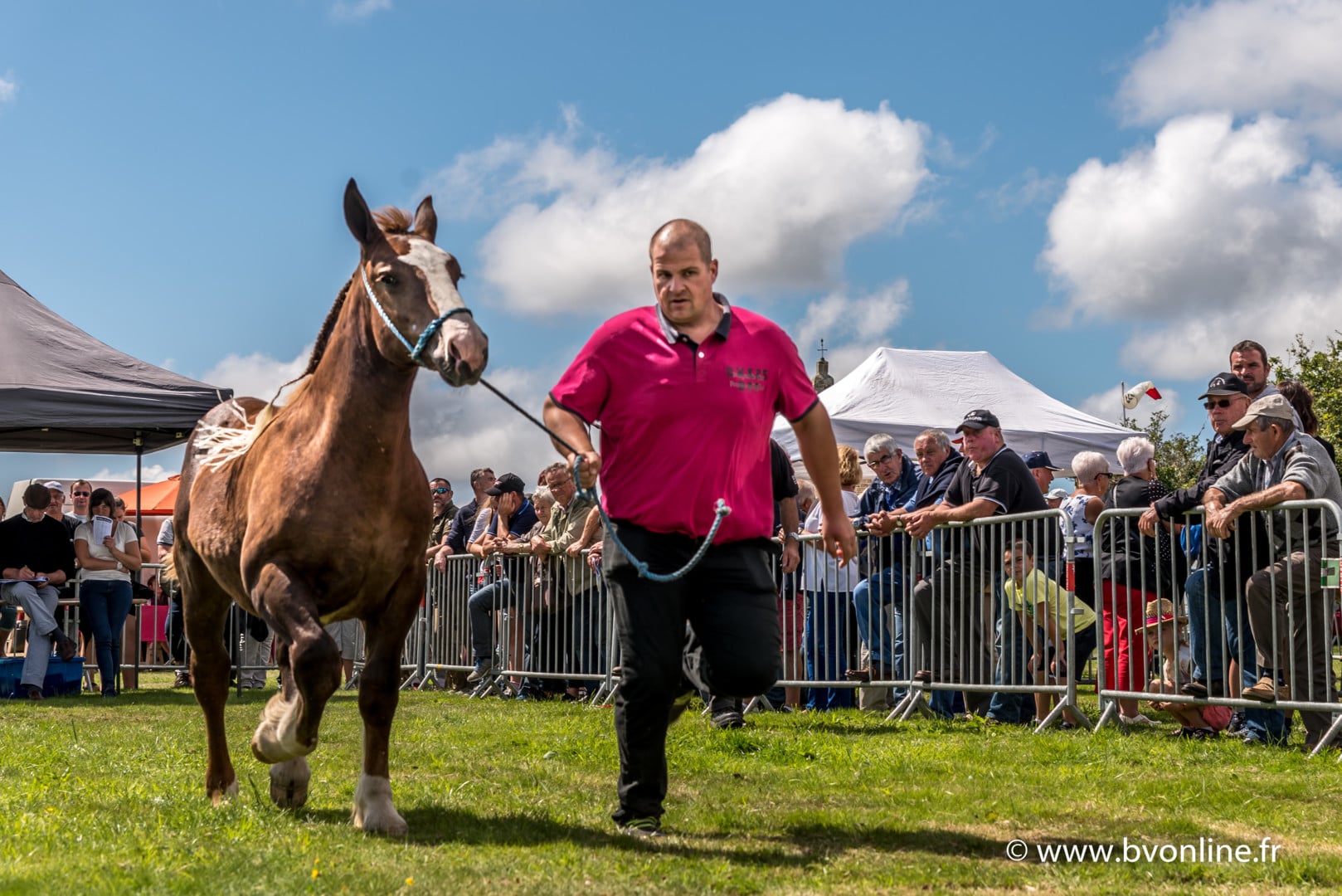 Foire aux chevaux du Menez Bré