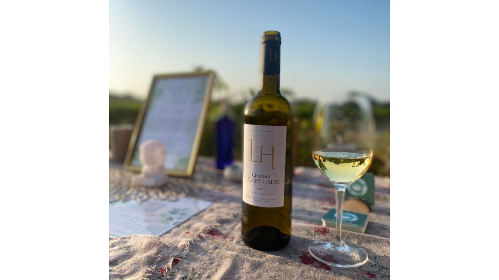 Music & Wine concert au cœur des vignes