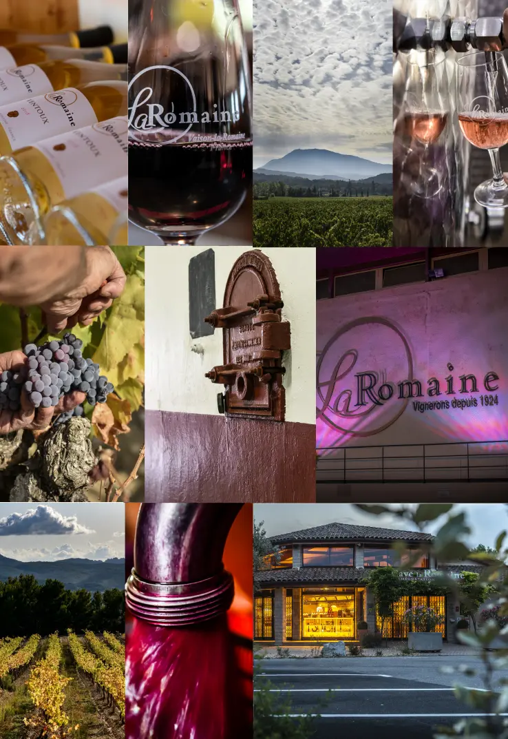 Enigmes de la Romaine - Cave La Romaine