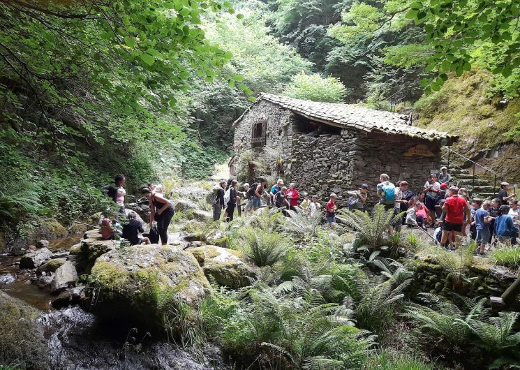 Visite guidée du moulin de la Laurède