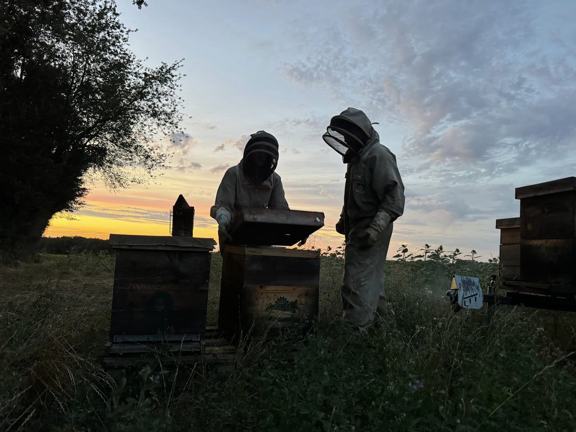 Les matins d'été : atelier miel avec Entre Terre et Miel