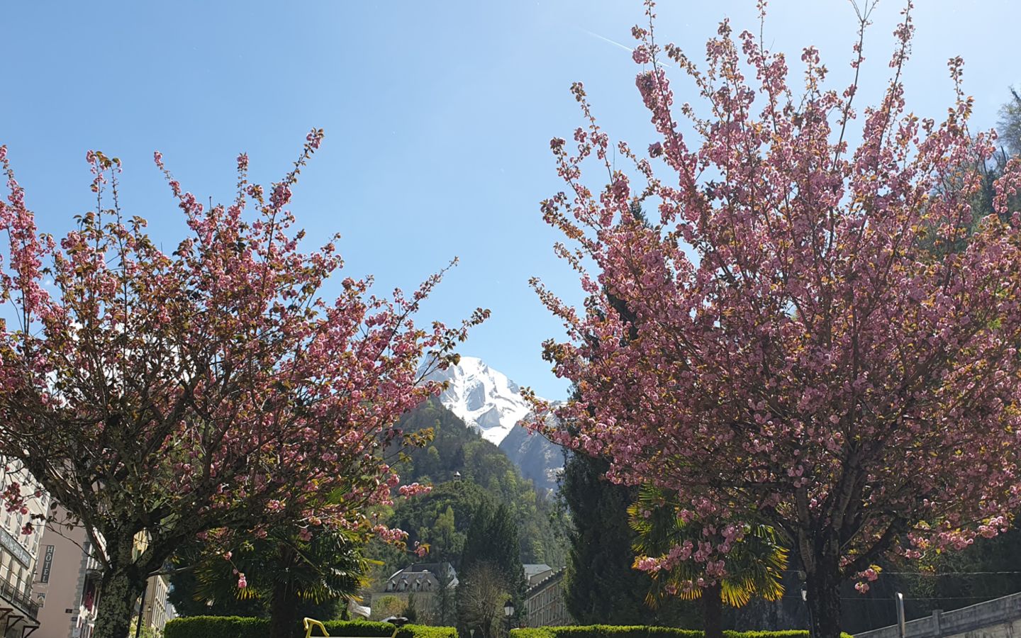 Balade commentée des Eaux-Bonnes