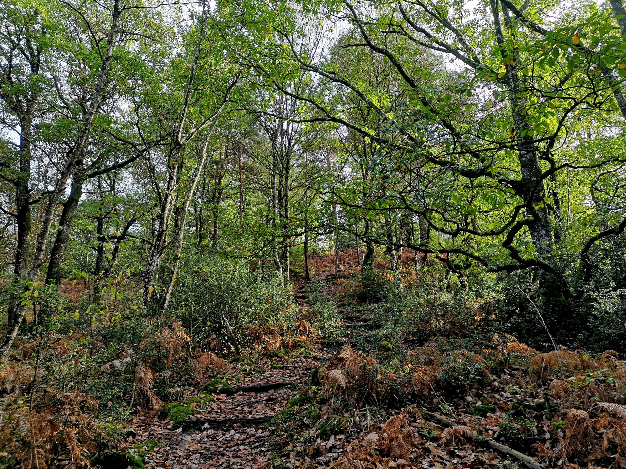 Aux couleurs de l'automne