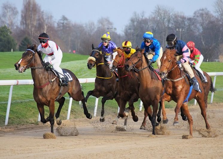 Course hippique