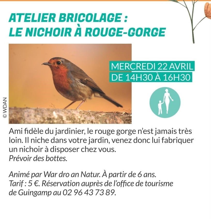 Atelier bricolage : le nichoir à rouge-gorge