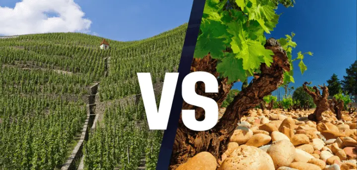 Atelier École des Vins - Découverte des Crus des Côtes du Rhône